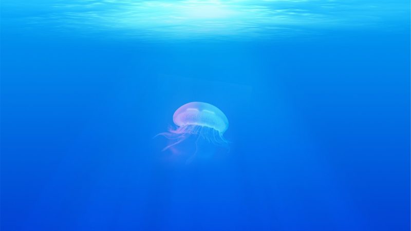 果冻传媒 场景参考图